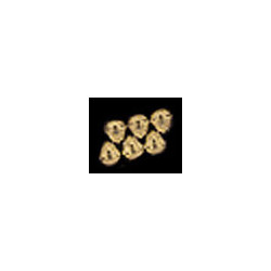 VICTORIAN OAK ESCUTCHEON 6PCS