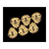 VICTORIAN OAK ESCUTCHEON 6PCS