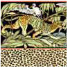 6 pack Wallpaper: Leopard