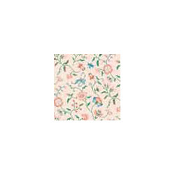 6 pack Wallpaper: Papillon Peach