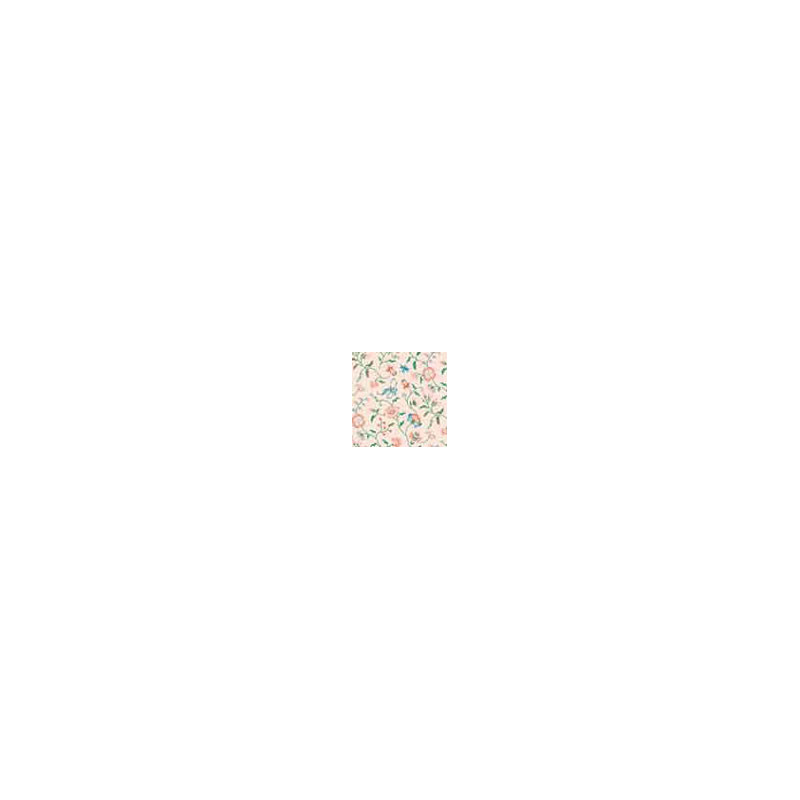 6 pack Wallpaper: Papillon Peach