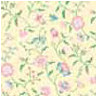 6 pack Wallpaper: Papillon Raspberry