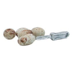 POTATOES W/POTATO PEELER