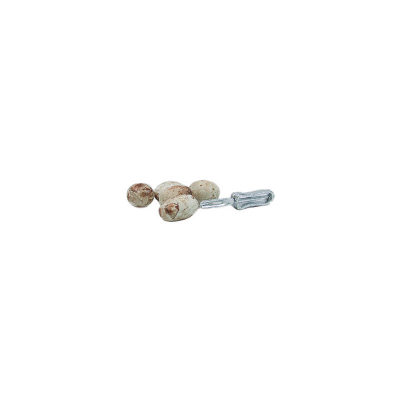 POTATOES W/POTATO PEELER