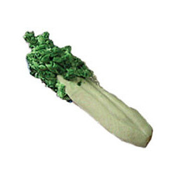 CELERY BUNCH