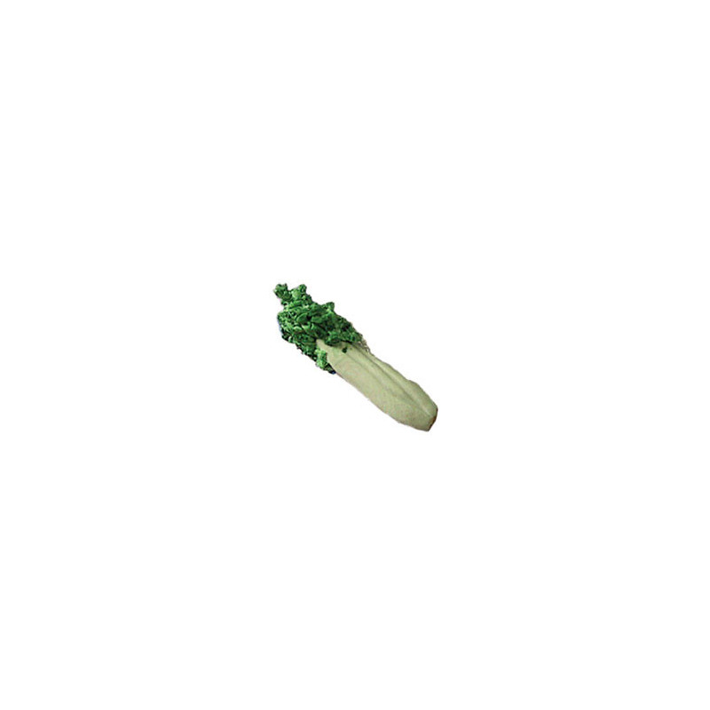 CELERY BUNCH