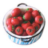 TOMATOES IN PAN