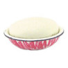 BREAD RISING IN FLOW RED BOWL