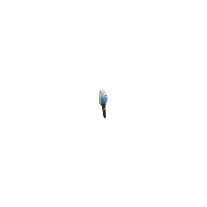 PARAKEET, ASS'T COLORS