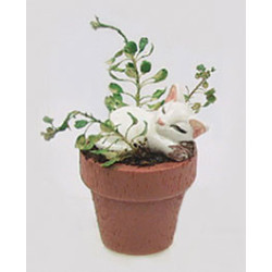 CAT IN FLOWER POT