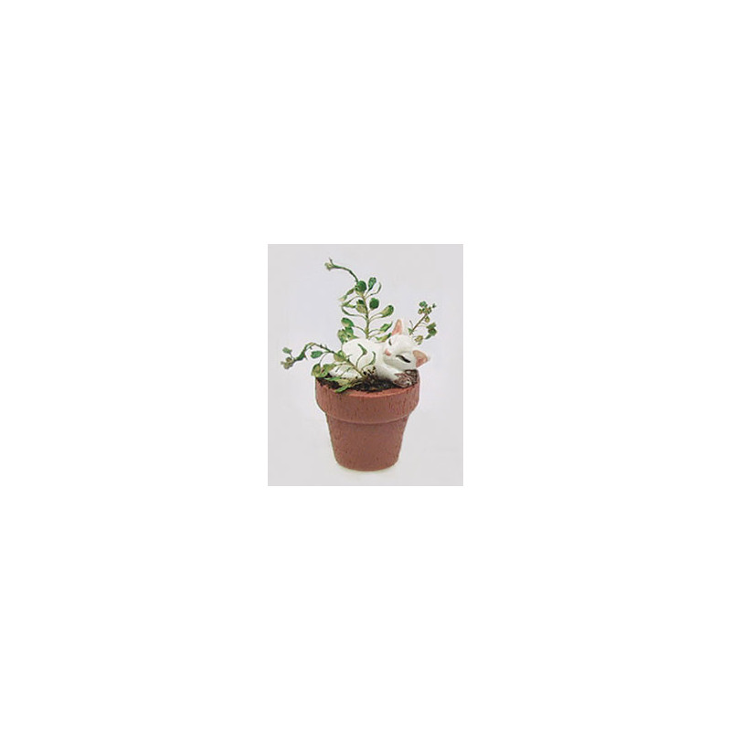 CAT IN FLOWER POT