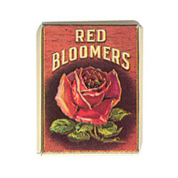 RED BLOOMERS 2PC BOX