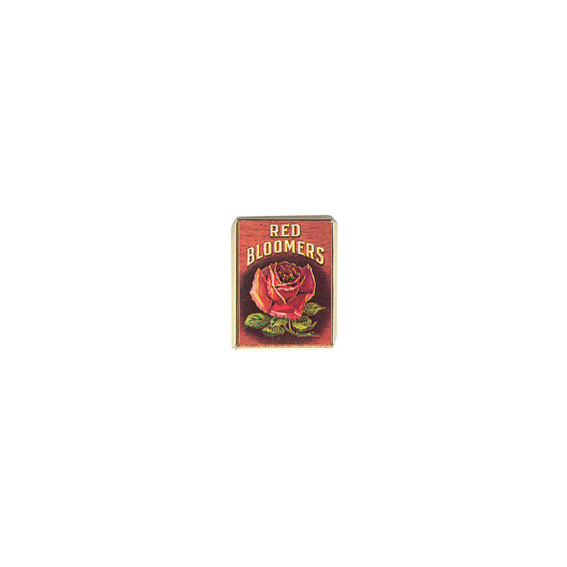 RED BLOOMERS 2PC BOX