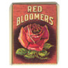 RED BLOOMERS 2PC BOX