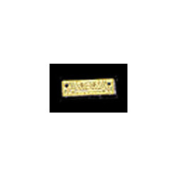 BRASS GOLDEN ACE HARMONICA
