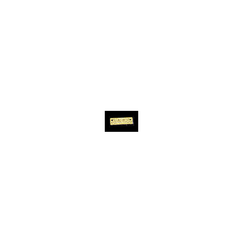 BRASS GOLDEN ACE HARMONICA