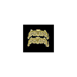 BRASS ORNATE PURSE CLASP 1SET