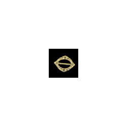 BRASS OVAL LADIES BUCKLE