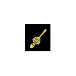 BRASS CHATELAINE