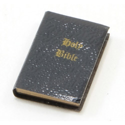 HOLY BIBLE