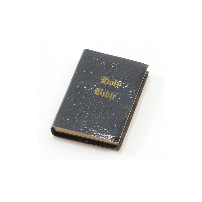 HOLY BIBLE