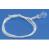 12V CLEAR PEA BULB