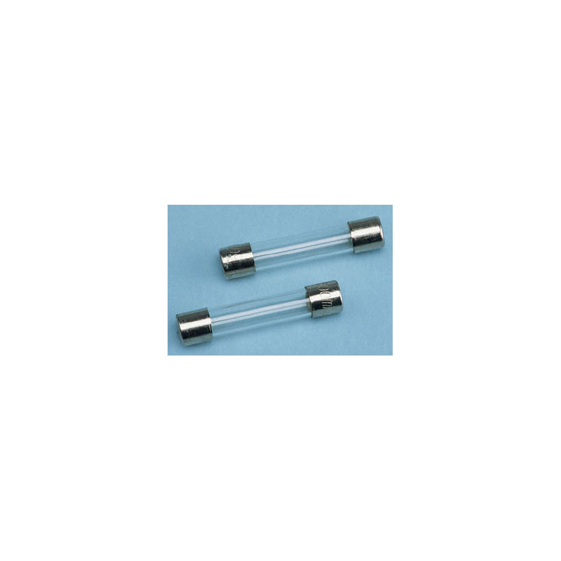 2 AMPERE FUSE, 2/PK.