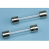 2 AMPERE FUSE, 2/PK.