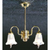 &MH660: 2 DOWN-ARM TULIP SHADE CHAND
