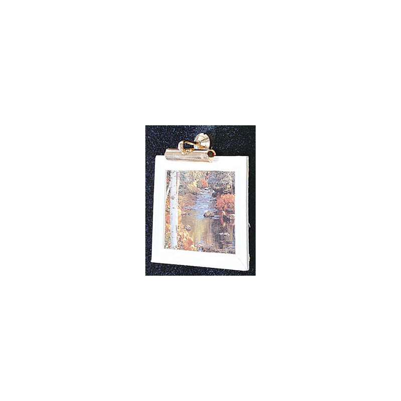 &MH862: BRASS PICTURE LIGHT