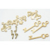 CHIPPENDALE KEY PLATE W/KEY&NAIL