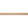 Dentil Molding