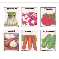 SEED PACKETS (SET OF 6)