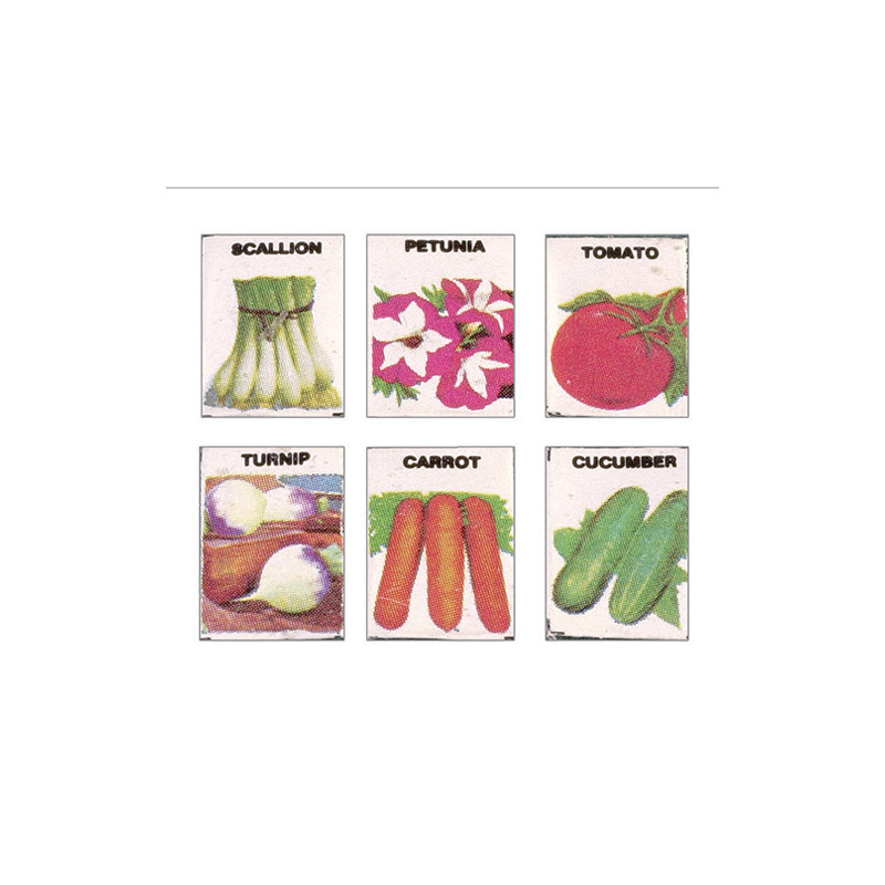 SEED PACKETS (SET OF 6)