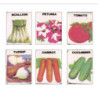 SEED PACKETS (SET OF 6)