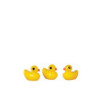 YELLOW DUCK SET OF 12