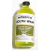 ANTISEPTIC MOUTH WASH-BOTTLE