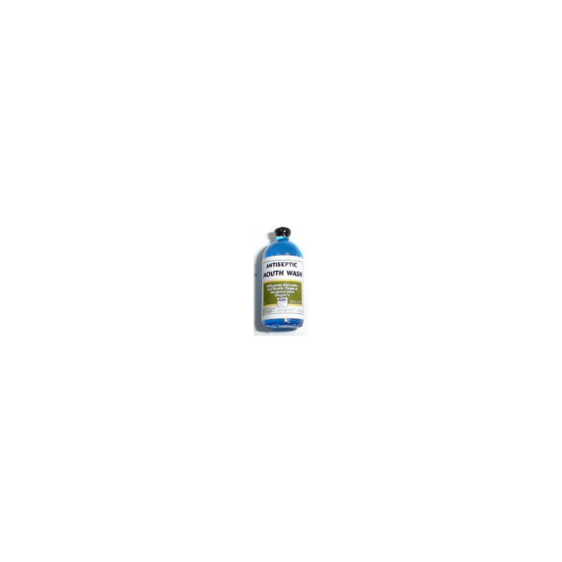 ANTISEPTIC MOUTH WASH - BLUE BOTTLE