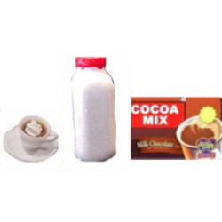 HOT COCOA MIX, QUART OF MILK, CUP OF COCOA