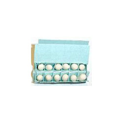 GREEN EGG CARTON-WITH EGGS