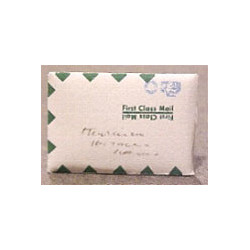 FIRST CLASS MAILER ENVELOPE