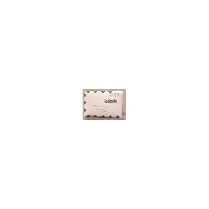 FIRST CLASS MAILER ENVELOPE