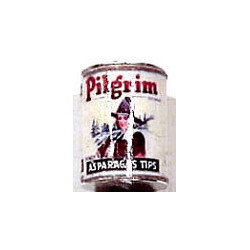 PILGRIM ASPARAGUS TIPS
