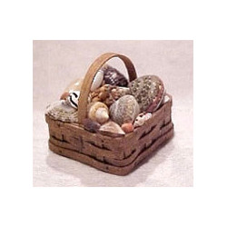 SHELLS IN SQUARE BASKEY W/HANDLE