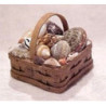 SHELLS IN SQUARE BASKEY W/HANDLE
