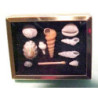 SHADOW BOX W/SHELL COLLECTION