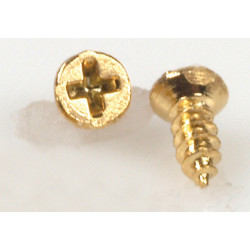 Small Brass Screw 20/Pkg