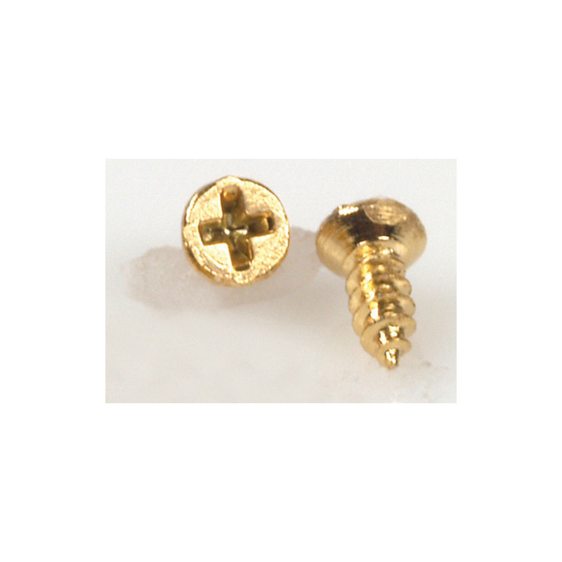 Small Brass Screw 20/Pkg