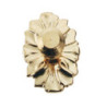 Medallion Knob Brass 2Pc/Pk
