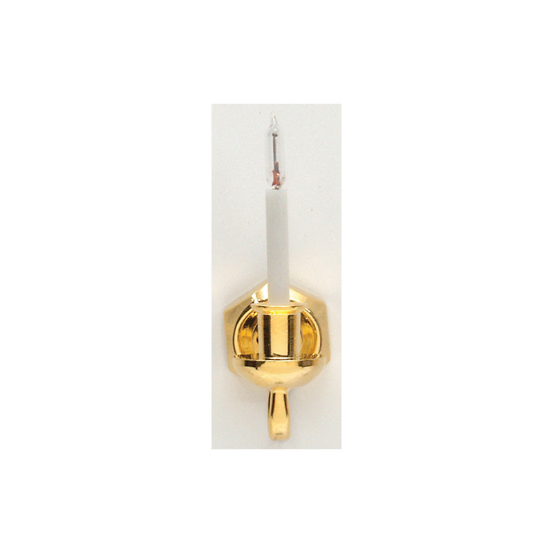 Sgl Candle Wall Sconce/Bi-Pin